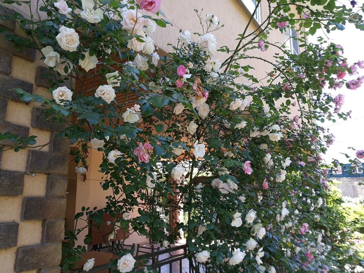Гостевой дом Guest House Villa Roza Гагра-14