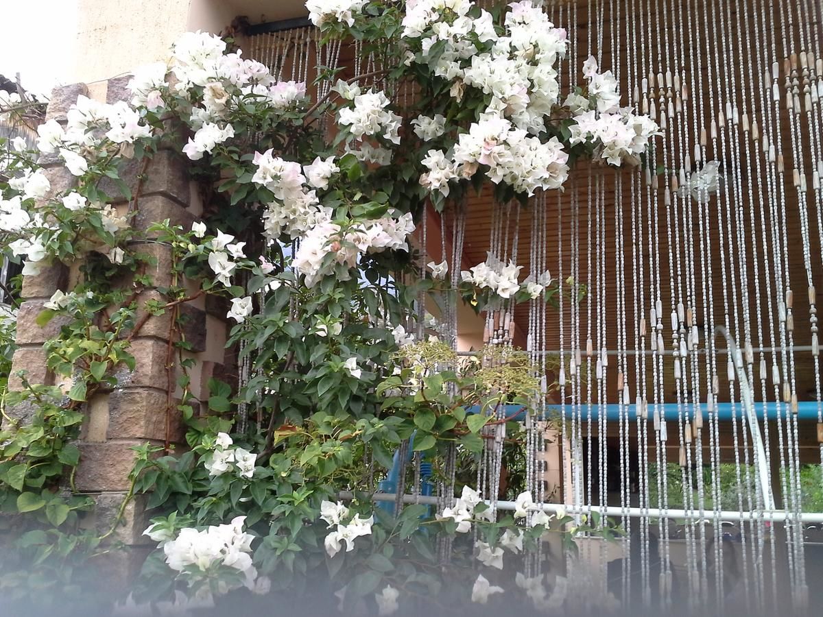 Гостевой дом Guest House Villa Roza Гагра-20