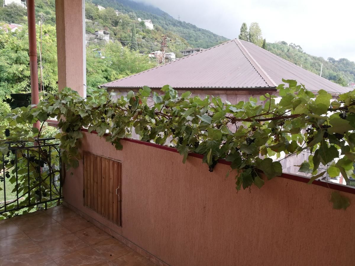 Гостевой дом Guest House Villa Roza Гагра