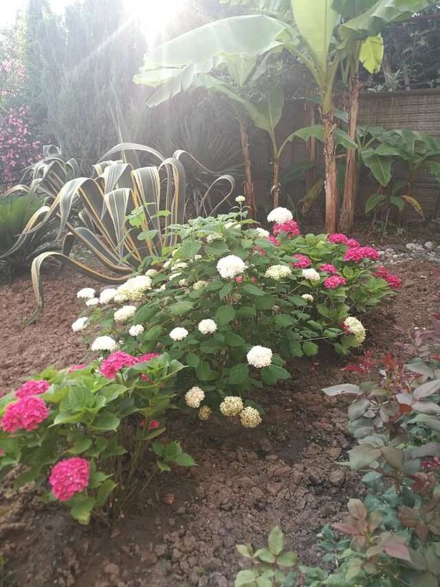 Гостевой дом Guest House Villa Roza Гагра-12