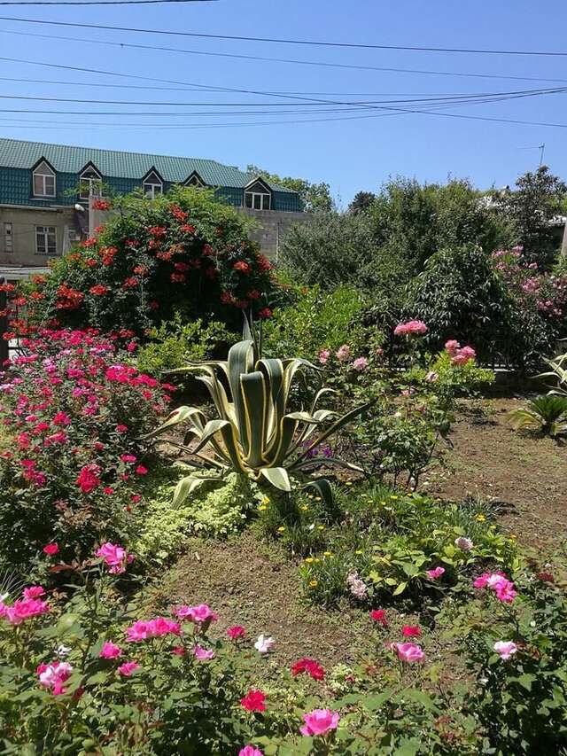 Гостевой дом Guest House Villa Roza Гагра-18