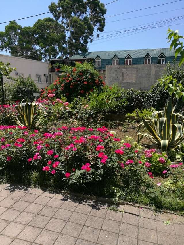 Гостевой дом Guest House Villa Roza Гагра-22